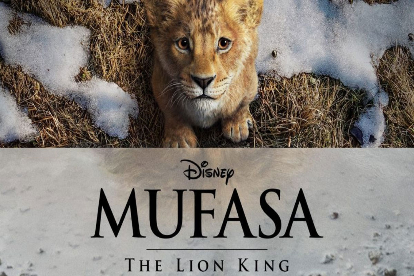 Sinopsis Film Mufasa The Lion King: Cerita Dini Raja Hutan Mencari Jati Diri